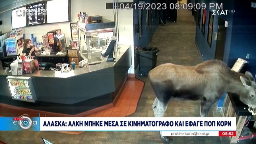 profile player-960x540.jpg