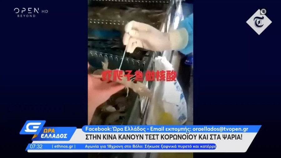 profile player-960x540.JPG