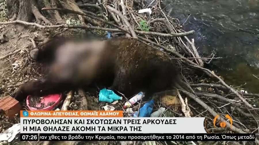 profile player-960x540.JPG