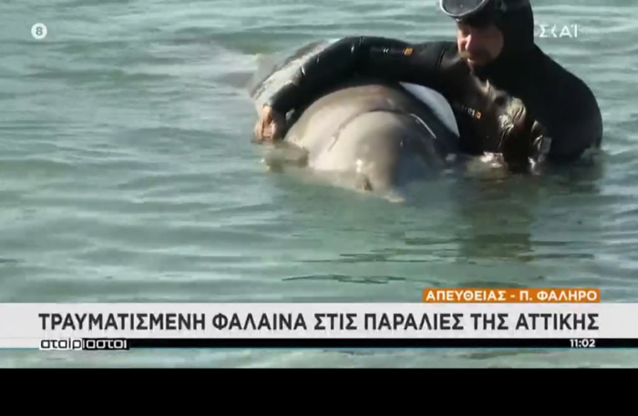 Χωρίς τίτλο.png