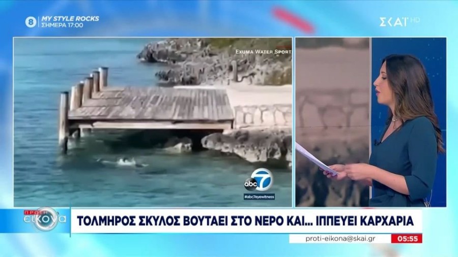 profile player-960x540.jpg