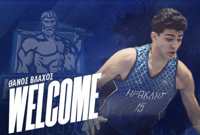 Stigmiotypo othonis 2025-07-17, 4.01.18 mm.png