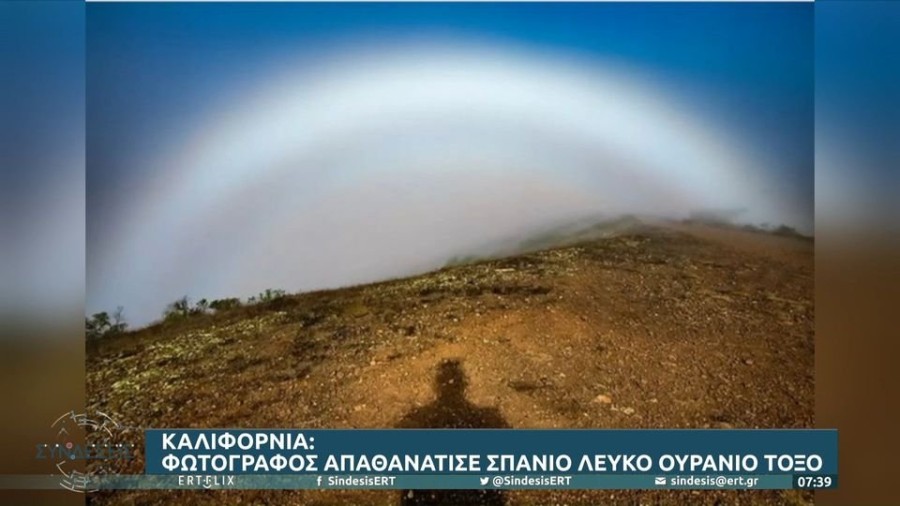 profile player-960x540.JPG