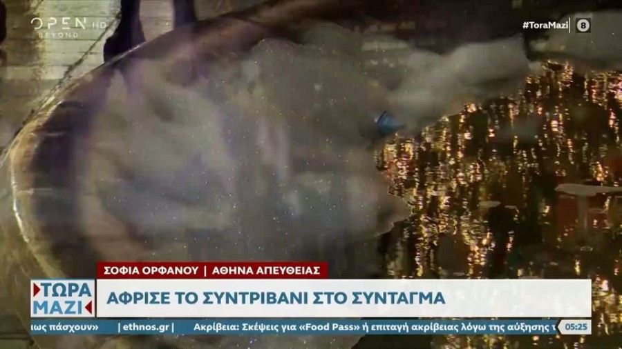 profile player-960x540.JPG