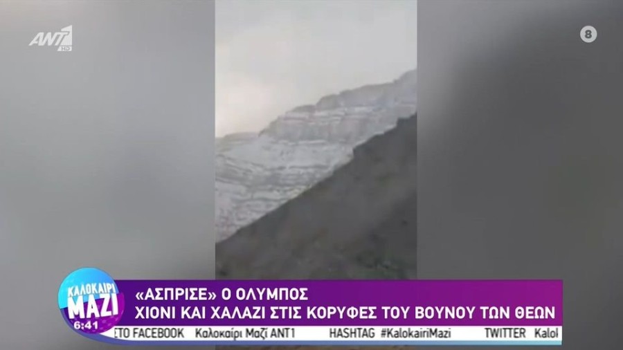 profile player-960x540.jpg