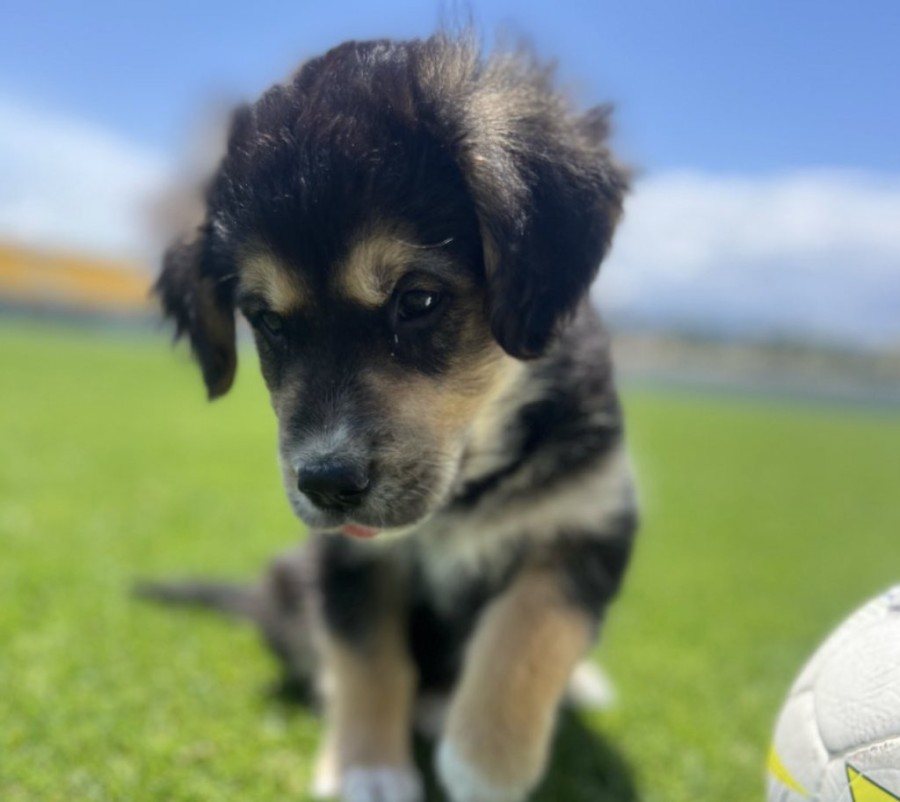 Στιγμιότυπο 2023-06-13, 5.44.57 μμ.png