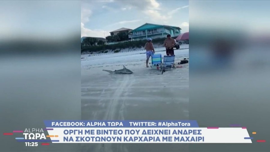 profile player-960x540.jpg