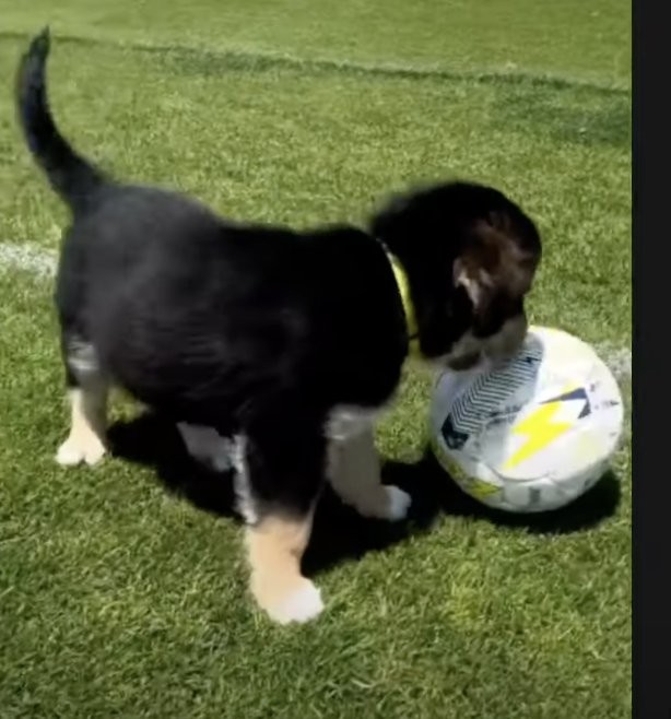 Στιγμιότυπο 2023-06-06, 4.07.39 μμ.png