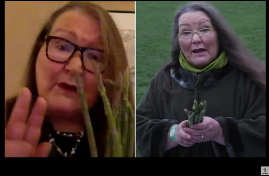 Χωρίς τίτλο.png