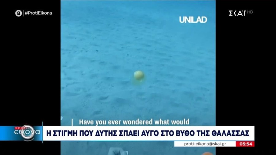 profile player-960x540.jpg