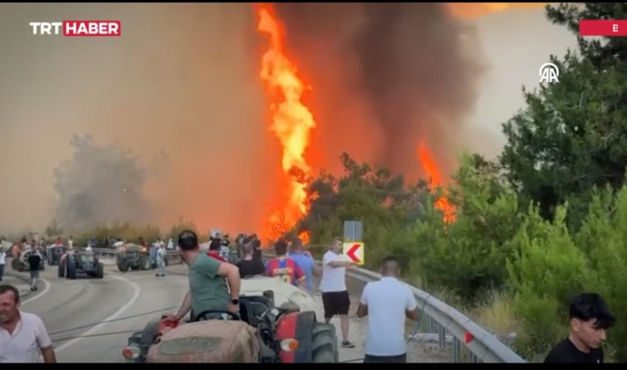 Χωρίς τίτλο.png