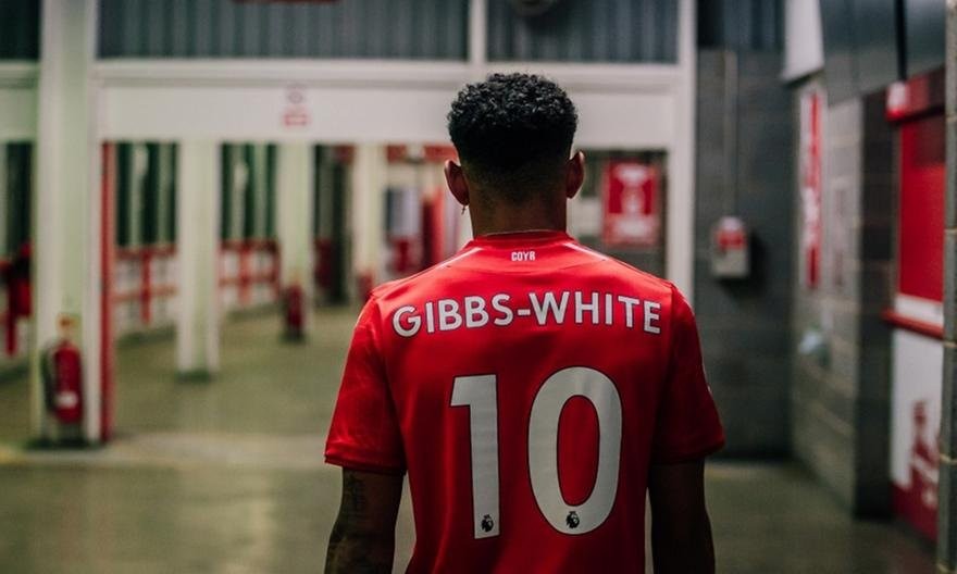gibbs-white_125550.jpg