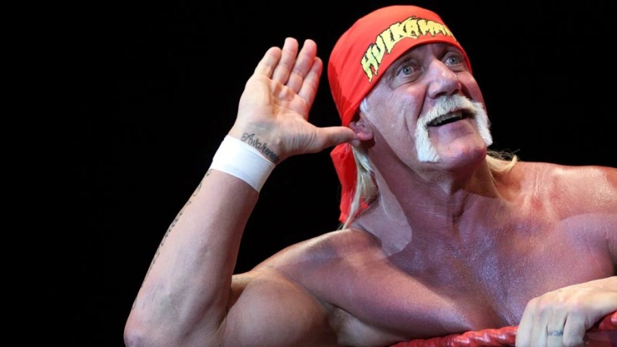 hulk-hogan-2009_11zon.jpg