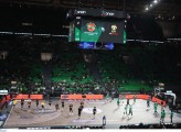 4425358.jpg 4425358.jpg