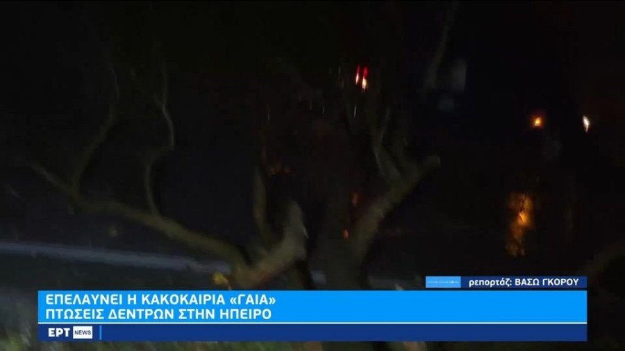 profile player-960x540.JPG