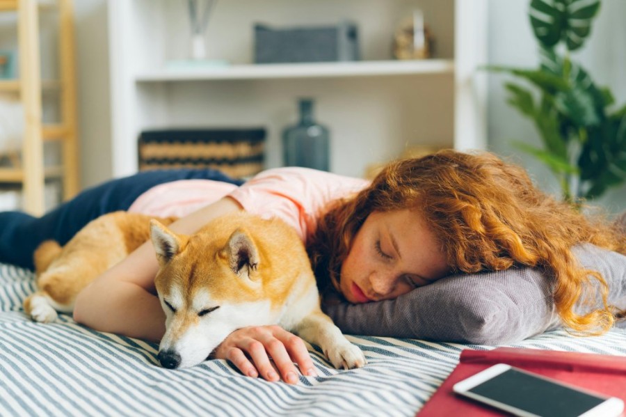 free-photo-of-redhead-woman-sleeping-with-dog.jpeg