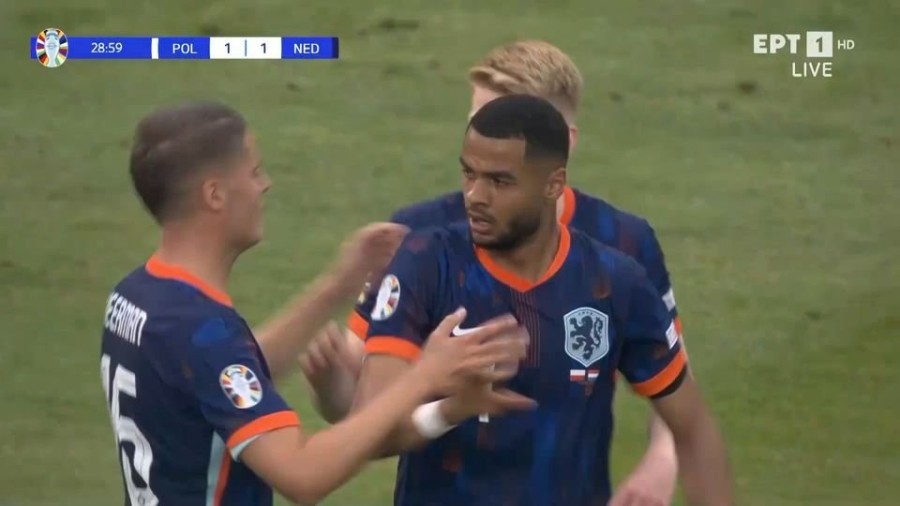 profile_player-960x540 (6).jpe