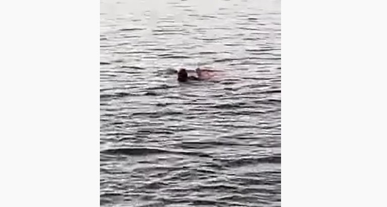 Χωρίς τίτλο.jpg