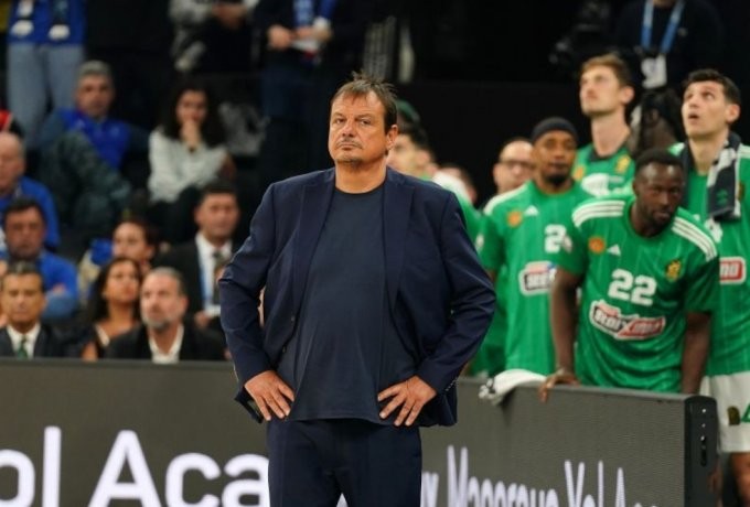 Stigmiotypo othonis 2025-05-02 223201.png