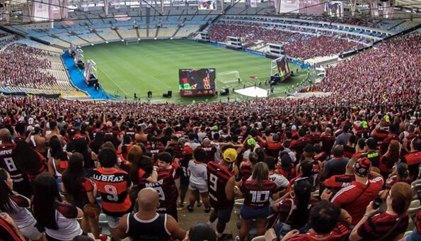rsz_1flamengo1.jpg