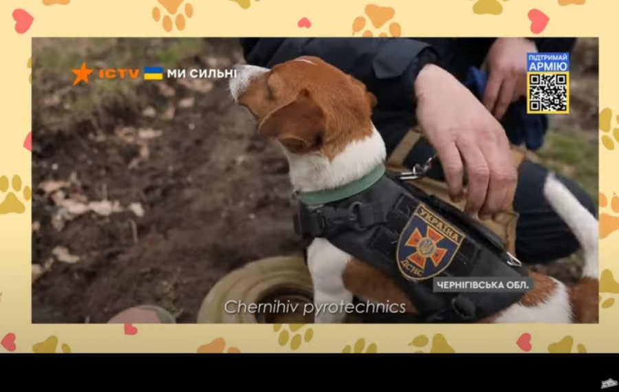 Χωρίς τίτλο.png