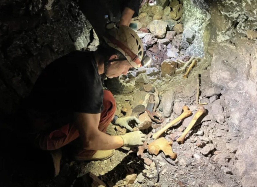 Στιγμιότυπο οθόνης 2024-05-14, 6.38.25 μμ.png