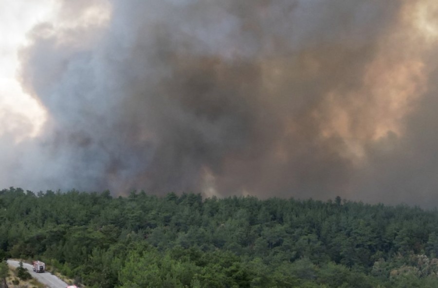 Στιγμιότυπο οθόνης 2024-02-29, 11.41.33 μμ.png