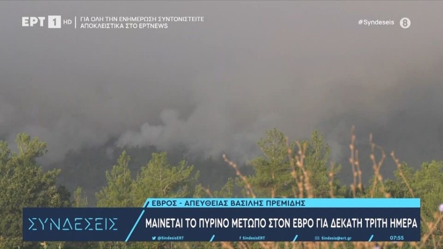 profile player-960x540.JPG