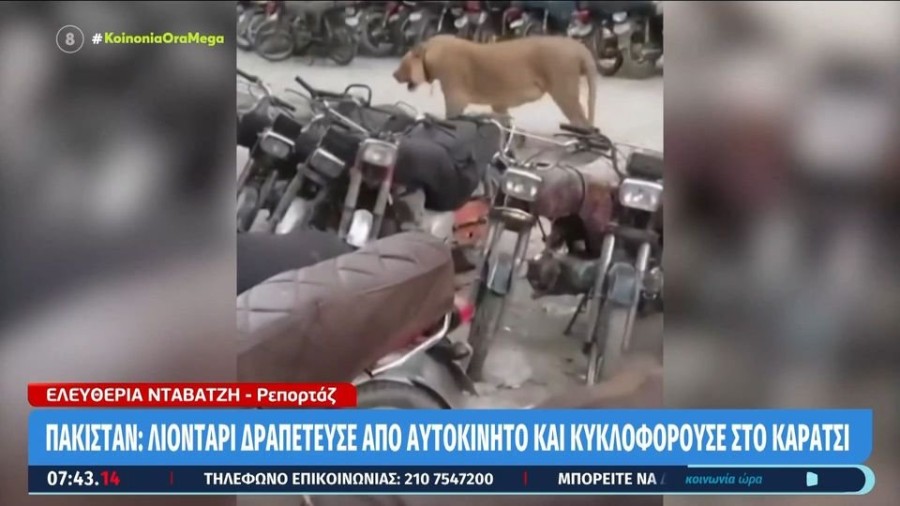 profile player-960x540.JPG