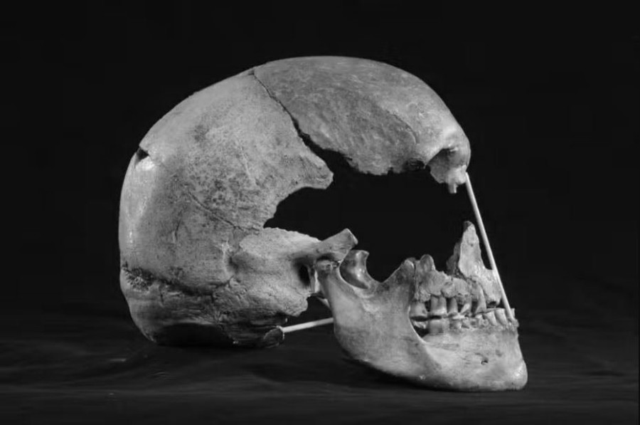 skull.JPG