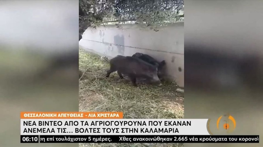 profile player-960x540.JPG