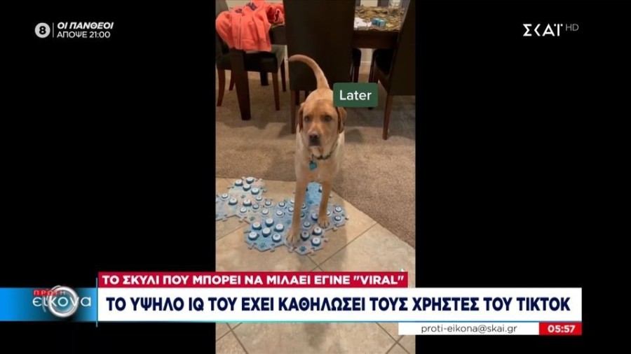 profile player-960x540.JPG