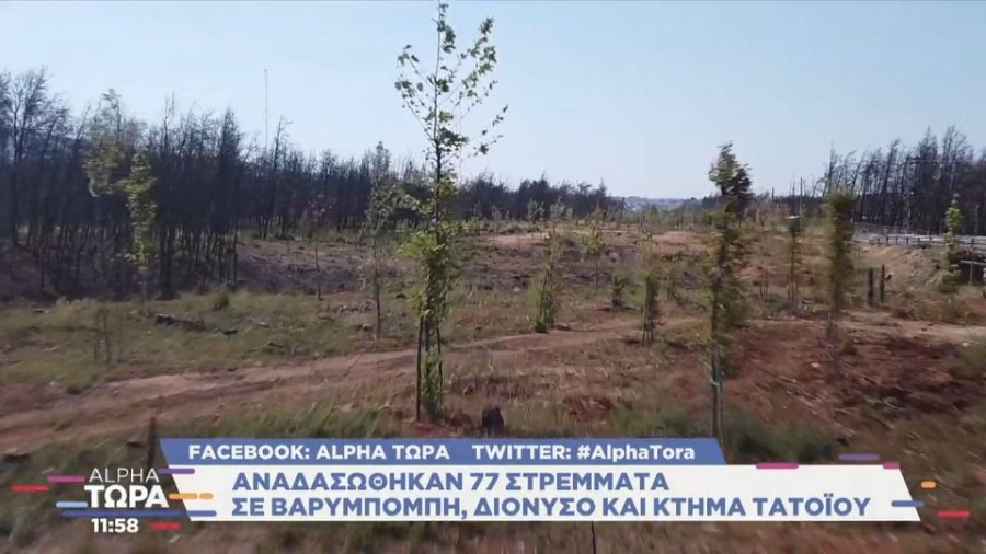 profile player-960x540.JPG