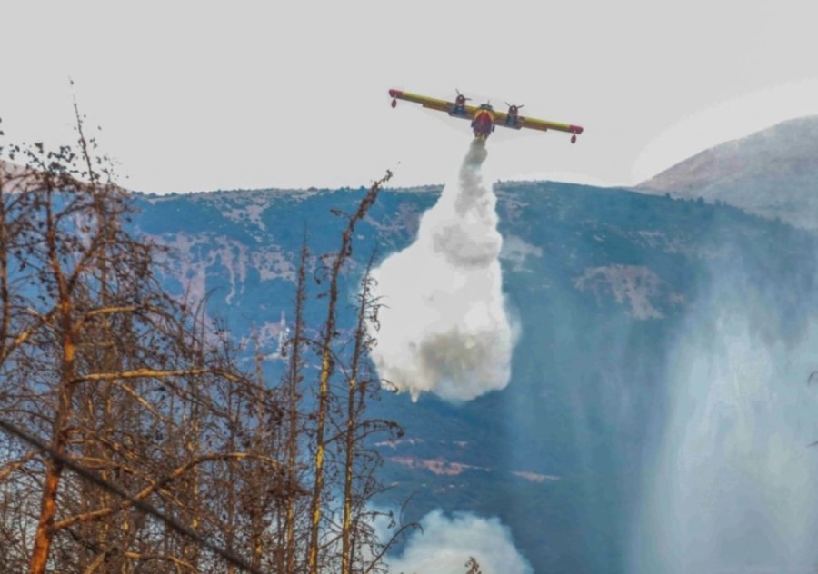 Στιγμιότυπο οθόνης 2025-08-22 173832.jpg