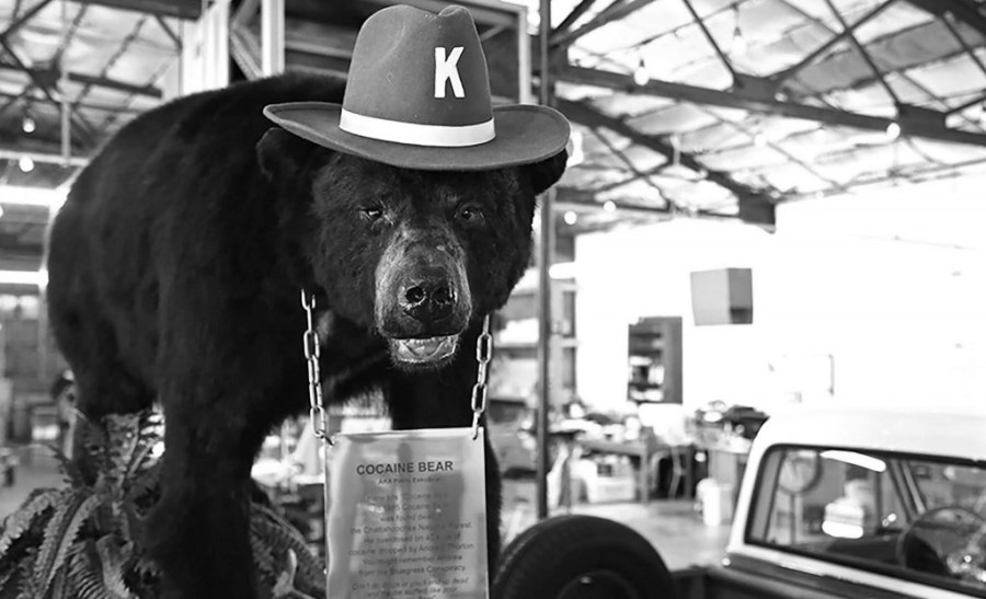 cocainebear-scaled.jpg
