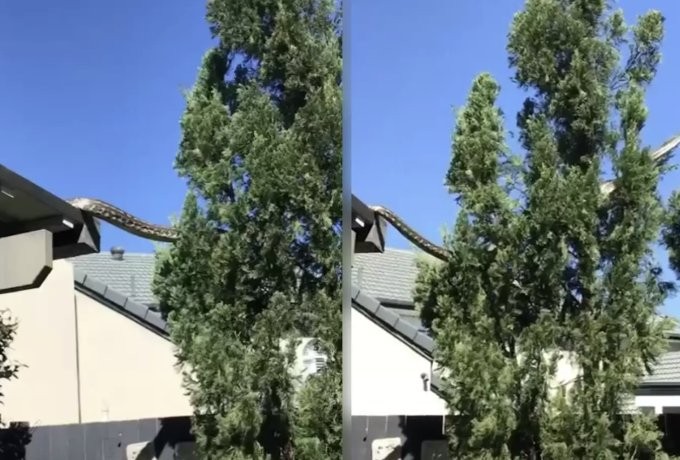 Screenshot 2023-08-29 at 12.07.37.png