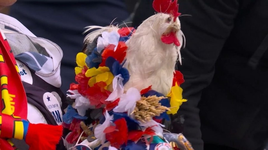 profile_player-960x540 (2).jpg