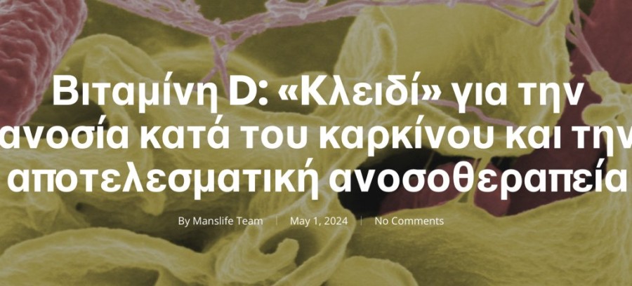 Στιγμιότυπο οθόνης 2024-05-02, 6.50.20 μμ.png