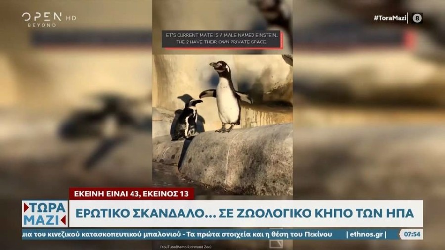 profile player-960x540.JPG