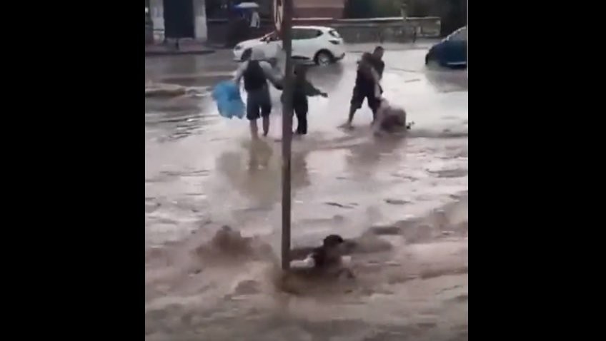 vid.jpg