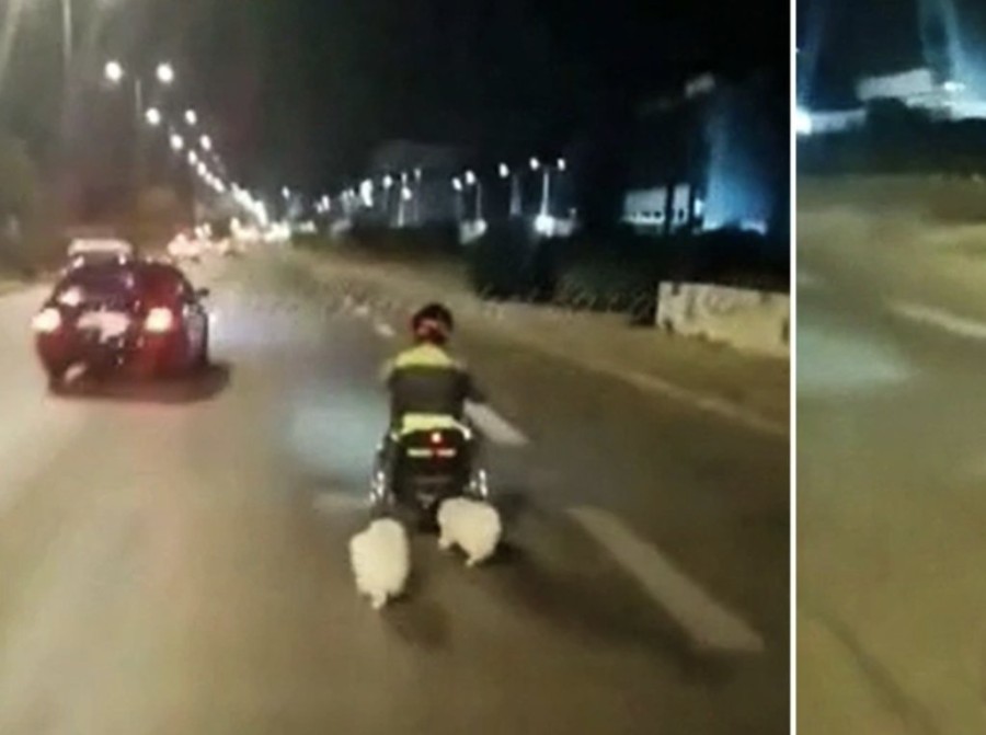 Στιγμιότυπο 2023-08-21, 8.29.08 πμ.png