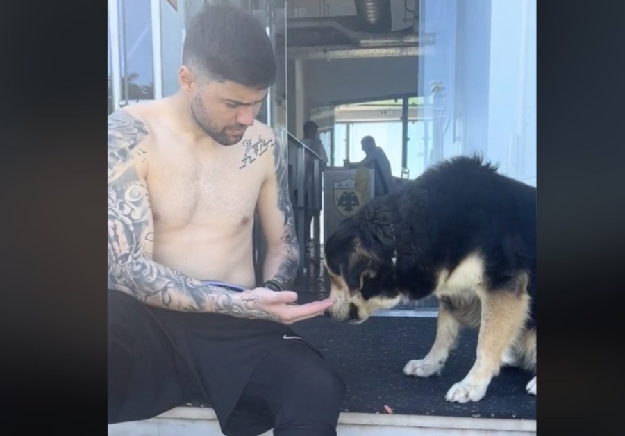 Στιγμιότυπο οθόνης 2024-04-05, 5.20.52 μμ.png