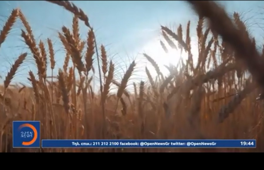 Χωρίς τίτλο.png