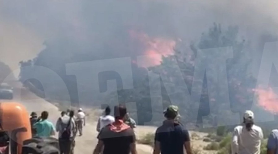 Στιγμιότυπο 2023-07-24, 3.54.32 μμ.png