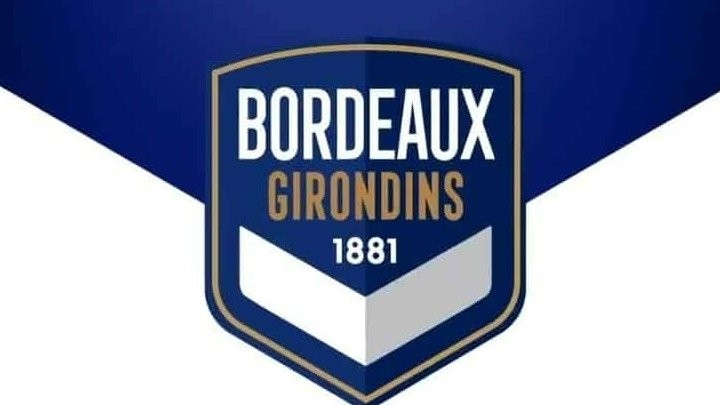 w22-103044nouveaulogogirondinsdebordeaux2020.jpg