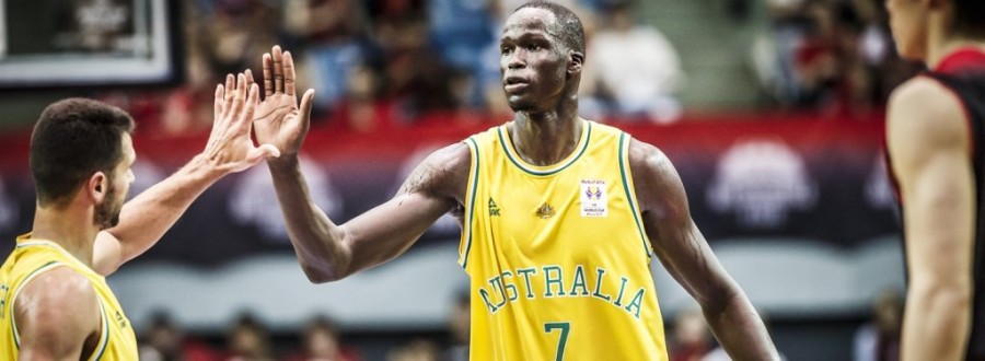 thon maker australia.jpg