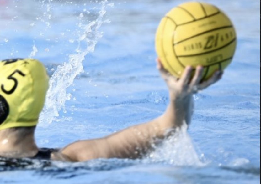 Στιγμιότυπο οθόνης 2023-12-23, 7.05.53 μμ.png