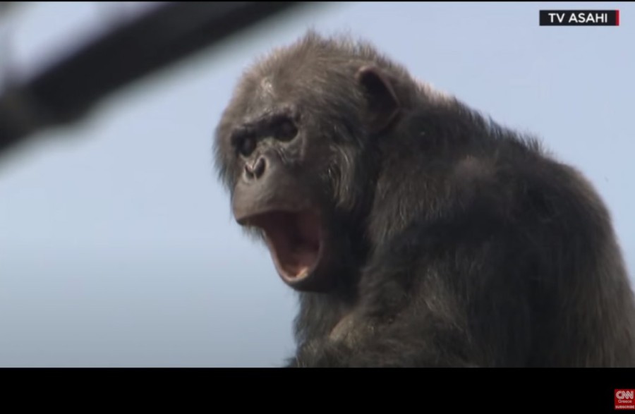 Χωρίς τίτλο.png