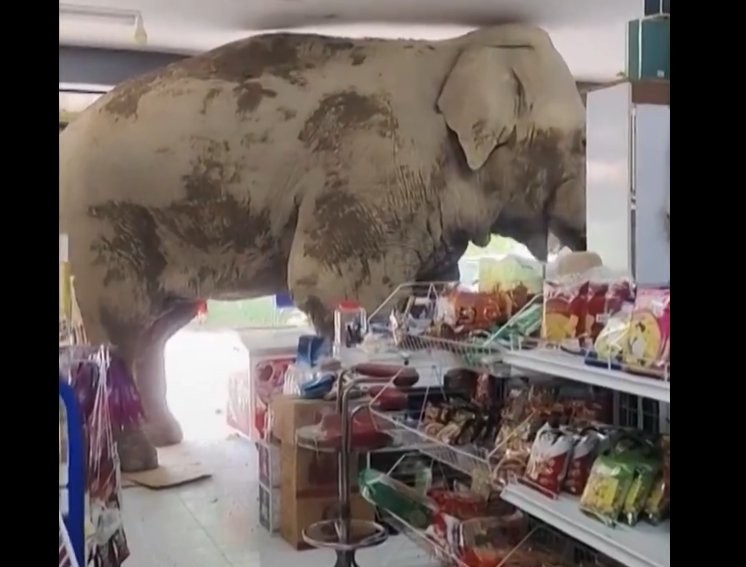 Στιγμιότυπο οθόνης 2025-06-04 225605.png