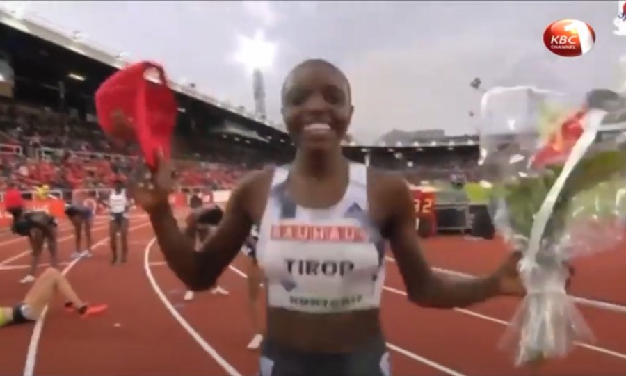 Χωρίς τίτλο.png